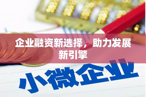 衢山企业融资新选择，助力发展新引擎