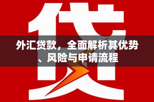 衢山外汇贷款，全面解析其优势、风险与申请流程