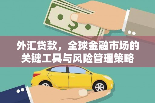 衢山外汇贷款，全球金融市场的关键工具与风险管理策略