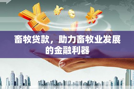 衢山畜牧贷款，助力畜牧业发展的金融利器