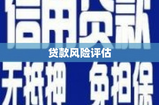 衢山贷款风险评估
