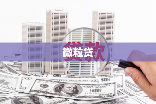 衢山微粒贷