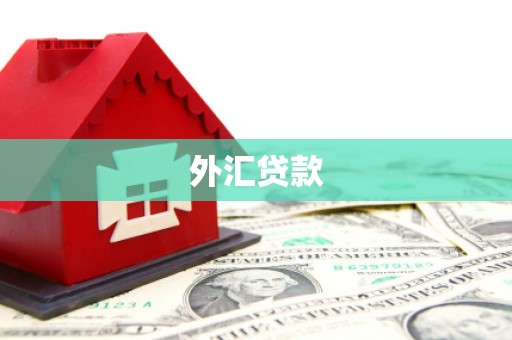 衢山外汇贷款