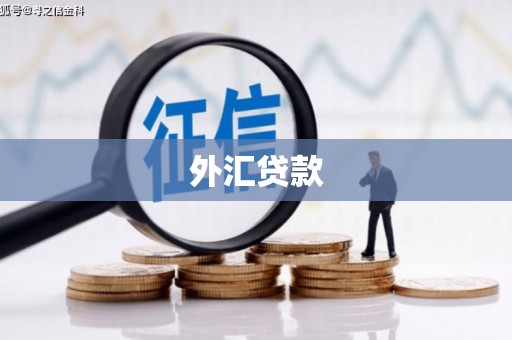 衢山外汇贷款