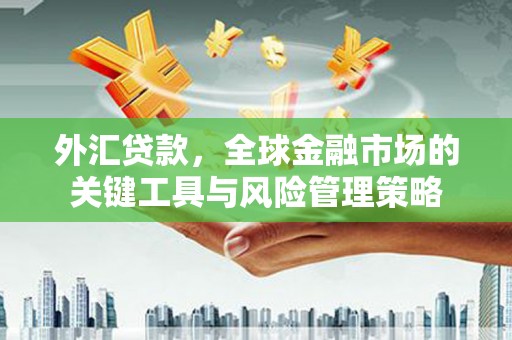 衢山外汇贷款，全球金融市场的关键工具与风险管理策略