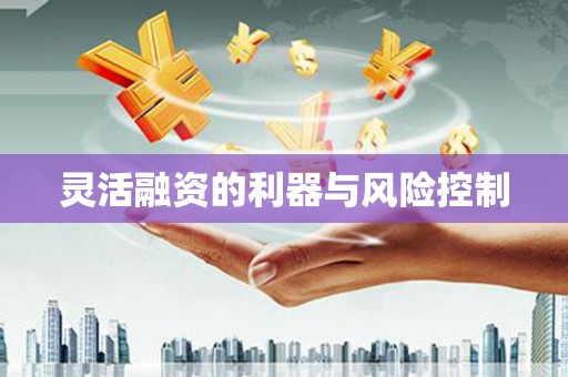 衢山灵活融资的利器与风险控制