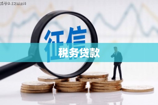 衢山税务贷款