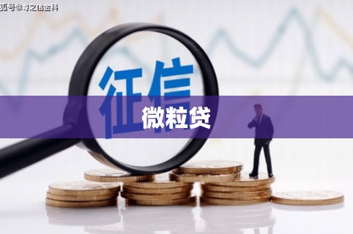 衢山微粒贷