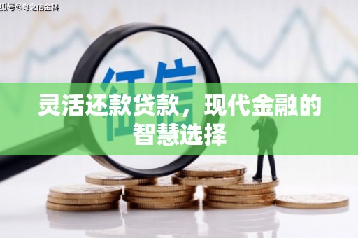 衢山灵活还款贷款，现代金融的智慧选择