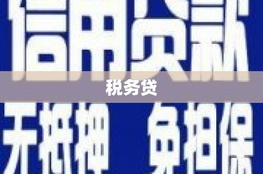 衢山税务贷