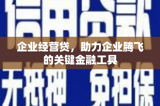 衢山企业经营贷，助力企业腾飞的关键金融工具