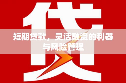 衢山短期贷款，灵活融资的利器与风险管理