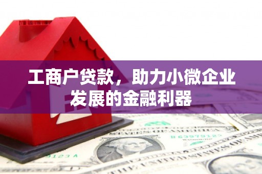 衢山工商户贷款，助力小微企业发展的金融利器