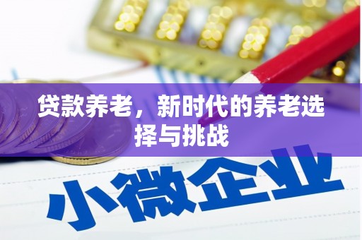 衢山贷款养老，新时代的养老选择与挑战