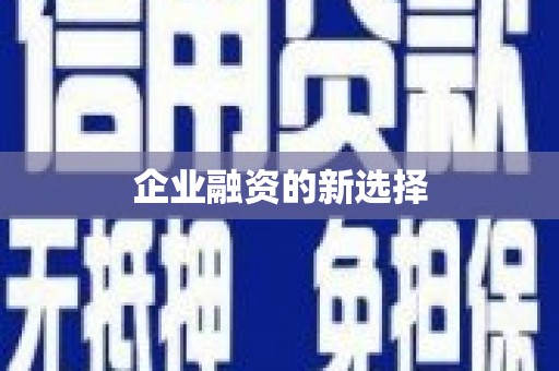 衢山企业融资的新选择