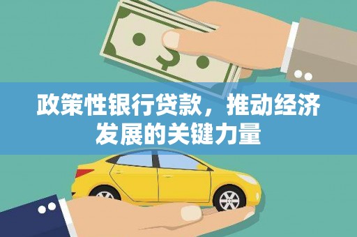 衢山政策性银行贷款，推动经济发展的关键力量