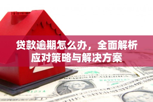 衢山贷款逾期怎么办，全面解析应对策略与解决方案