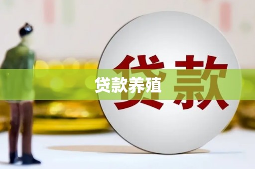 衢山贷款养殖