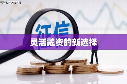 衢山灵活融资的新选择