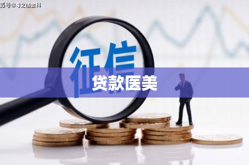 衢山贷款医美