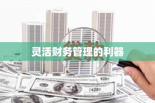衢山灵活财务管理的利器