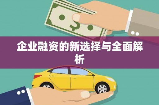 衢山企业融资的新选择与全面解析