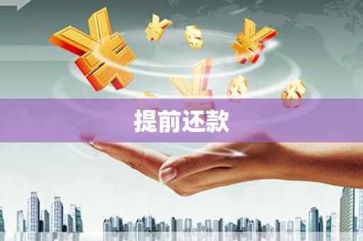 衢山提前还款