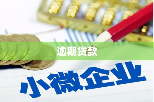 衢山逾期贷款